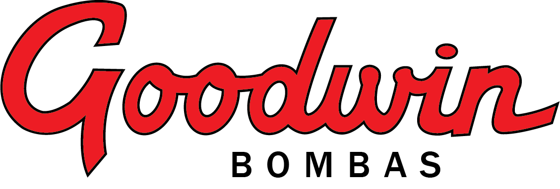 GOODWIN INDUSTRIA E COMERCIO DE BOMBAS SUBMERSAS LTDA