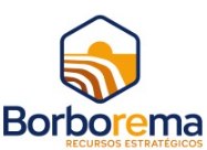 BORBOREMA RECURSOS ESTRATEGICOS