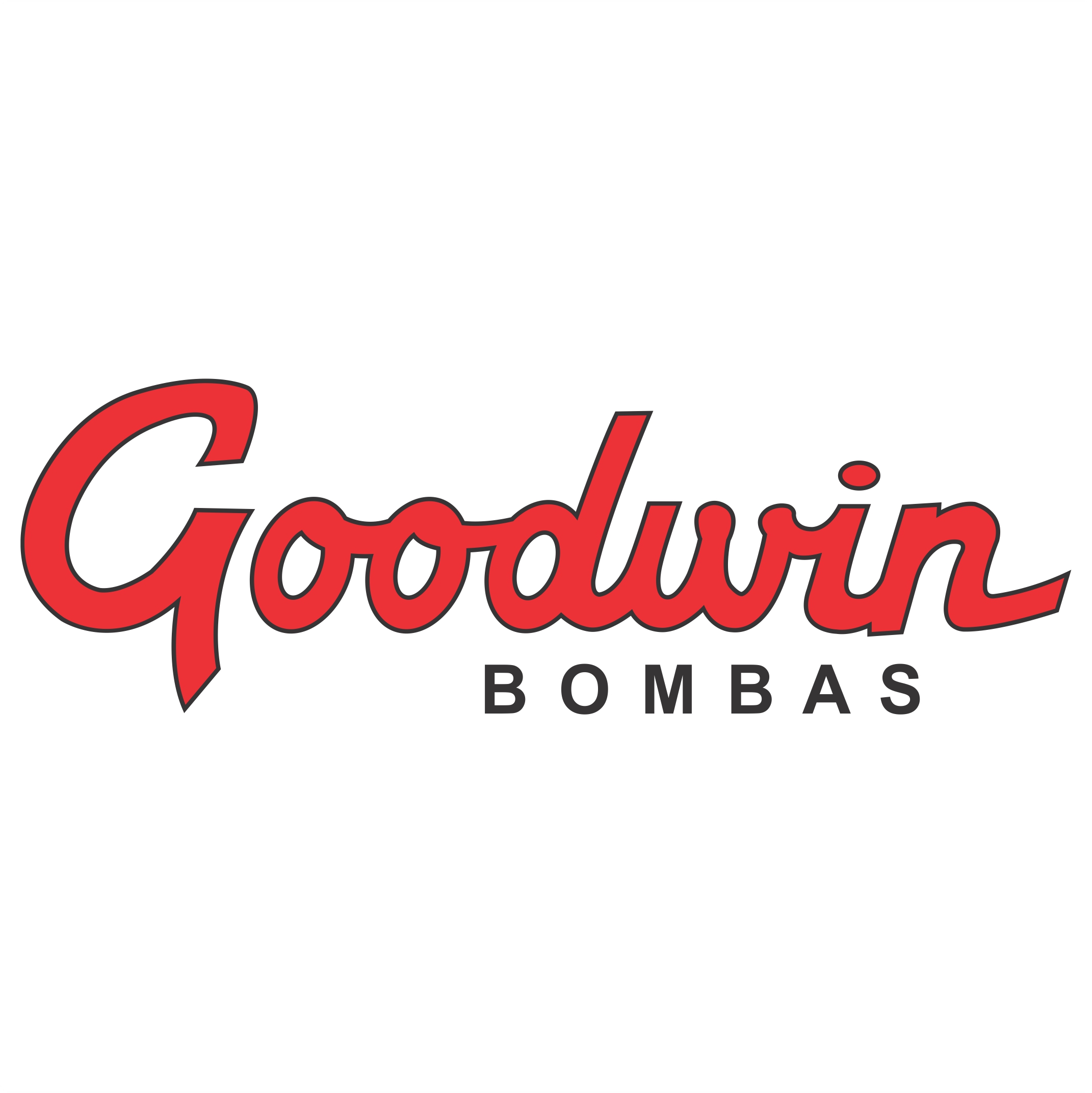 GOODWIN INDUSTRIA E COMERCIO DE BOMBAS SUBMERSAS LTDA