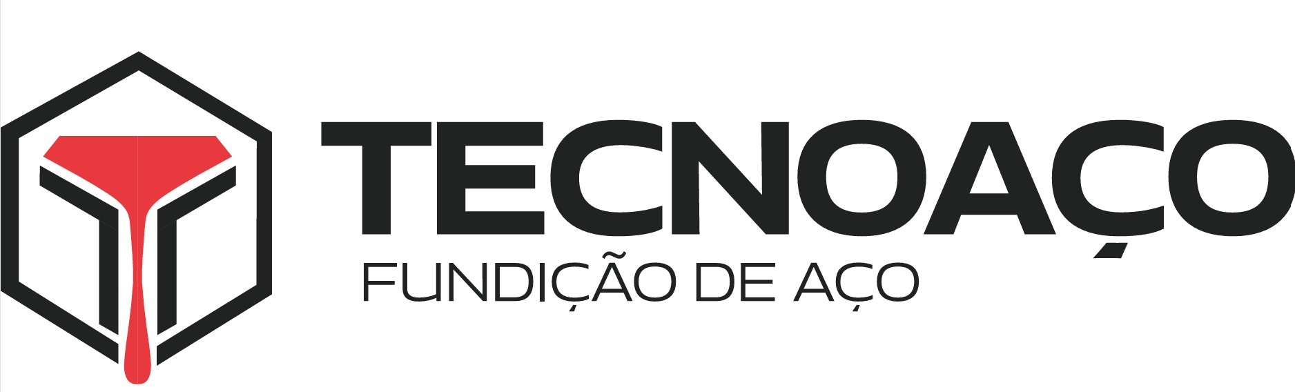 TECNOACO - FUNDICAO DE ACO E LIGAS ESPECIAIS LTDA