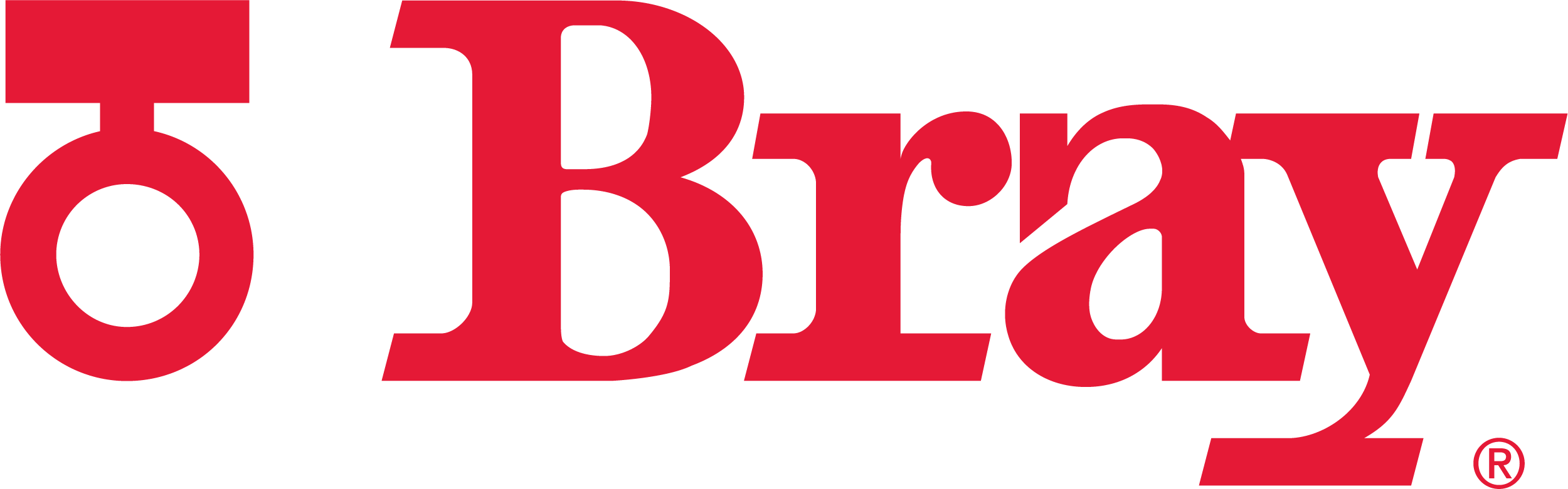 BRAY CONTROLS INDUSTRIA DE VALVULAS LTDA.