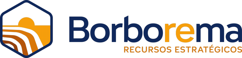 BORBOREMA RECURSOS ESTRATEGICOS
