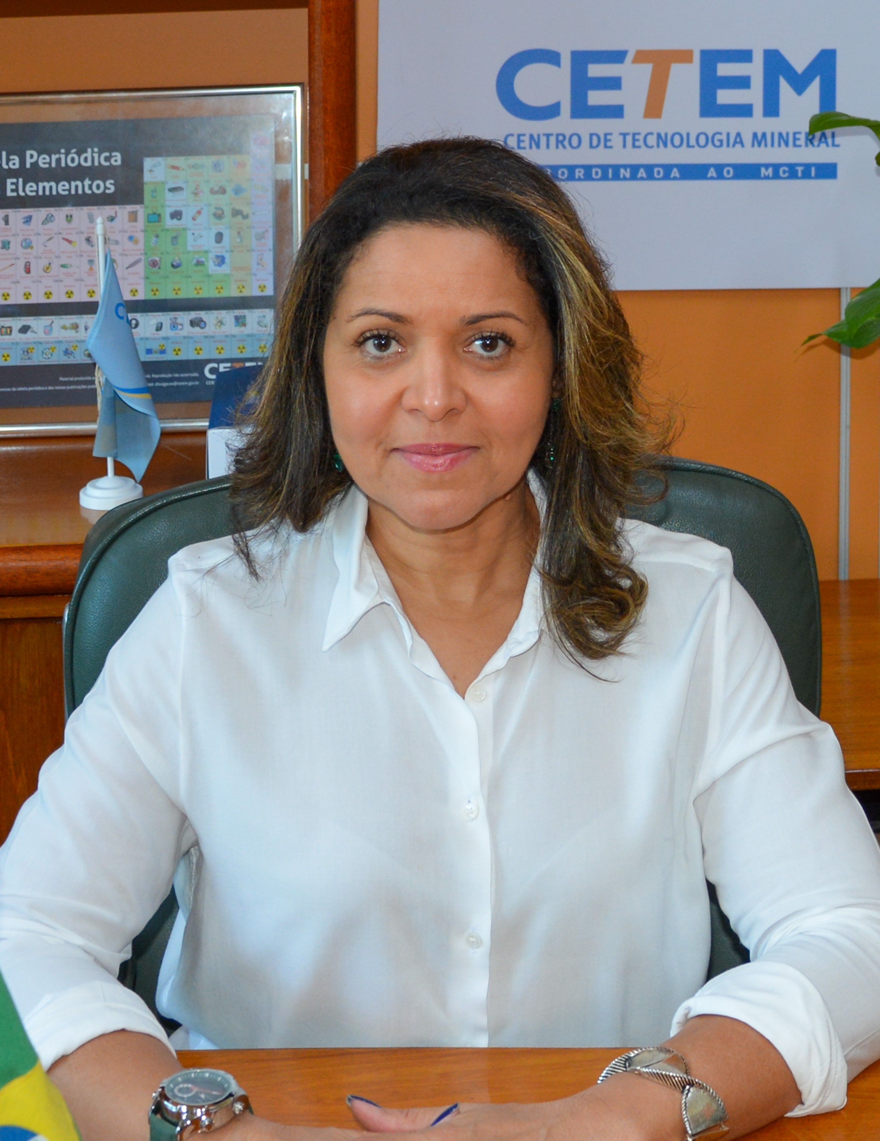 Sílvia Cristina Alves França