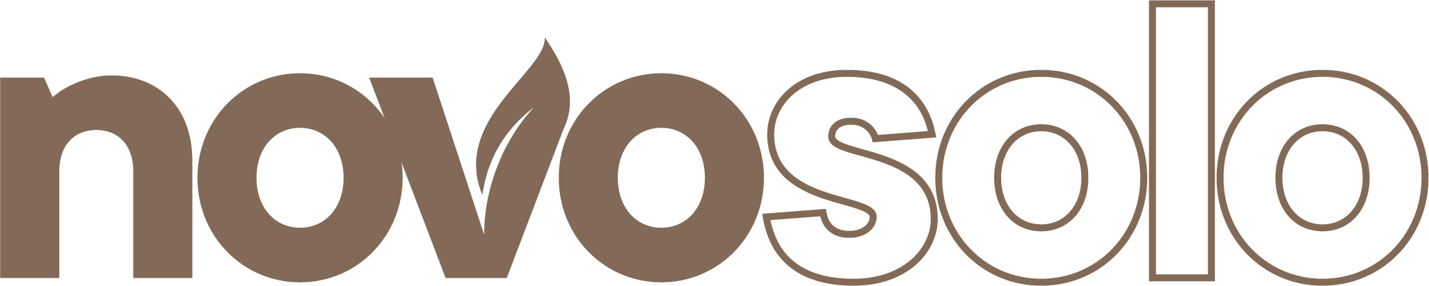 REVISTA NOVO SOLO